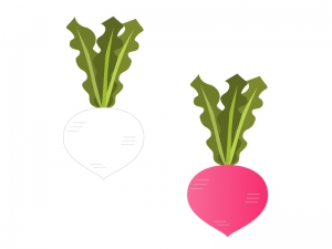 カブ 野菜イラスト素材 イラスト無料 かわいいテンプレート