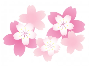 沢山の桜の花びら 春イラスト素材 イラスト無料 かわいいテンプレート