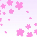 桜の花びらの壁紙 背景素材 1 9px 1 080px イラスト無料 かわいいテンプレート