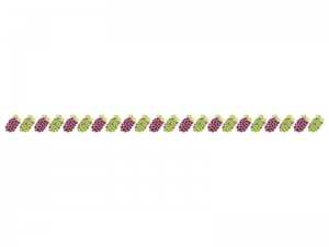 ぶどう 葡萄 マスカット 果物のライン 線イラスト イラスト無料 かわいいテンプレート