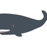 クジラ マッコウクジラ のイラスト イラスト無料 かわいいテンプレート