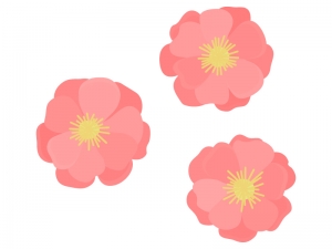 鮮やかな桃の花のイラスト イラスト無料 かわいいテンプレート