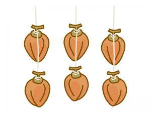 吊るしてある干し柿のイラスト イラスト無料 かわいいテンプレート