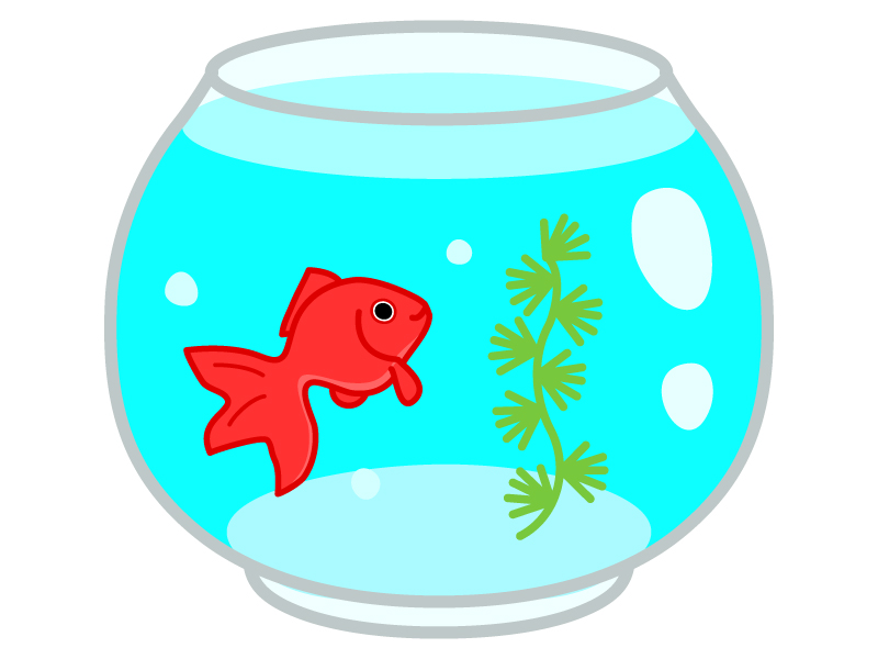 最も欲しかった 金魚鉢 かわいい 夏 金魚 イラスト 4368